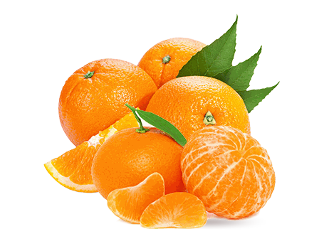 Odoo - Echantillon n°1 pour trois colonnes 