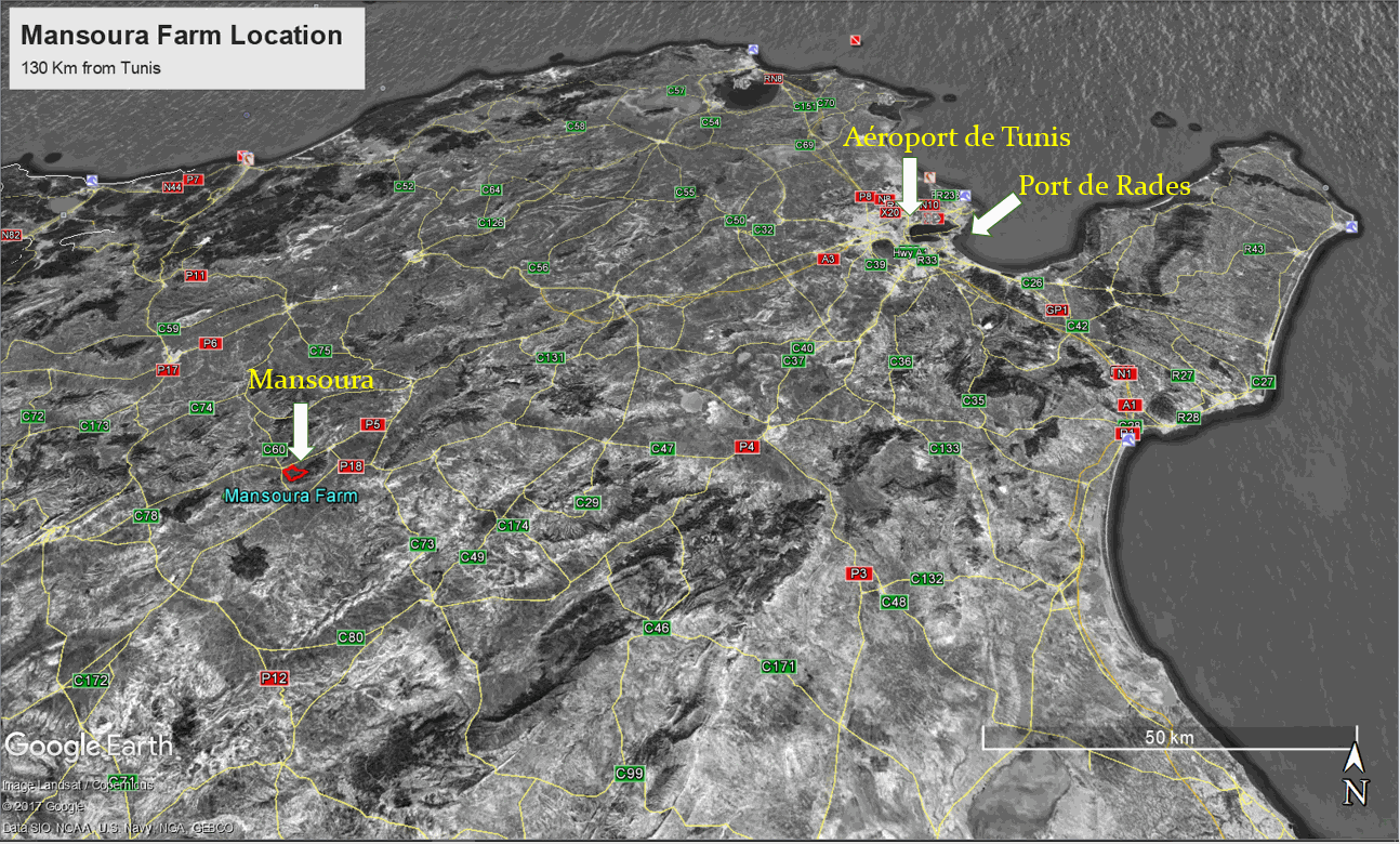 Odoo CMS - une grande photo